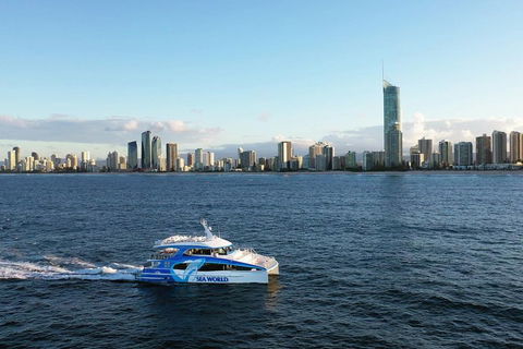 Whale Watching By Sea World Cruises - Accommodation Great Ocean Road 1