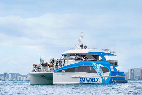Whale Watching By Sea World Cruises - Accommodation Great Ocean Road 3