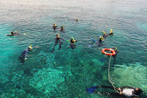 Seastar Luxury Outer Great Barrier Reef Island And Reef Tour From Cairns - Accommodation Great Ocean Road 2