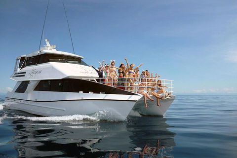 Seastar Luxury Outer Great Barrier Reef Island And Reef Tour From Cairns - Accommodation Great Ocean Road 4