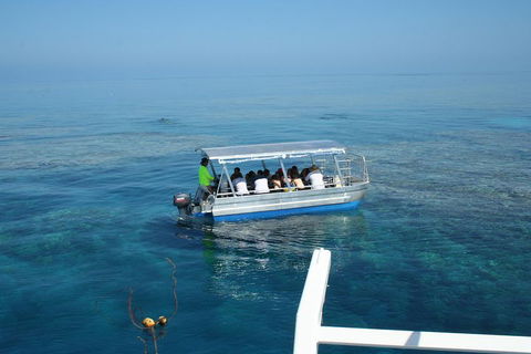 Seastar Luxury Outer Great Barrier Reef Island And Reef Tour From Cairns - Accommodation Great Ocean Road 5