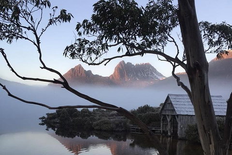 Cradle Mountain Park Explorer Guided Tour - Accommodation Great Ocean Road 5