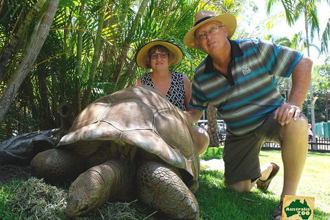 Small-Group Australia Zoo Day Trip From Brisbane - Accommodation Great Ocean Road 1