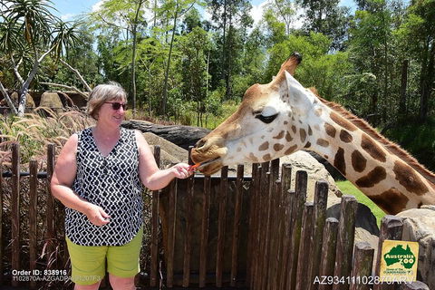 Small-Group Australia Zoo Day Trip From Brisbane - Accommodation Great Ocean Road 2