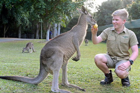 Small-Group Australia Zoo Day Trip From Brisbane - Accommodation Great Ocean Road 4