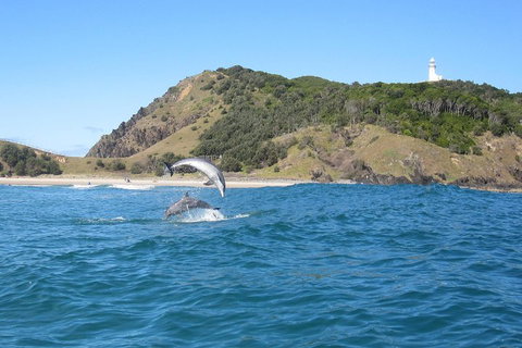 Kayaking With Dolphins In Byron Bay Guided Tour - Accommodation Great Ocean Road 0