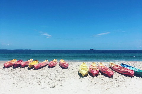 Kayaking With Dolphins In Byron Bay Guided Tour - Accommodation Great Ocean Road 1