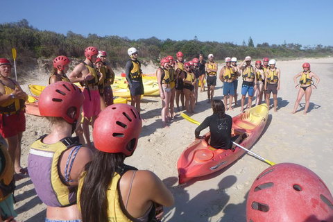 Kayaking With Dolphins In Byron Bay Guided Tour - Accommodation Great Ocean Road 2