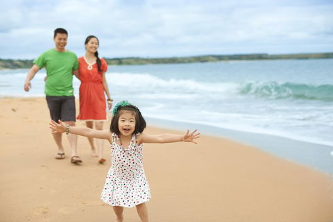Phillip Island Penguin Parade Day Trip With Koala Conservation Reserve Visit - Accommodation Great Ocean Road 5