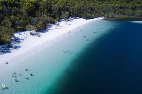 All-Inclusive Fraser Island Day Tour - Accommodation Great Ocean Road 0