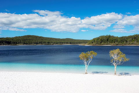All-Inclusive Fraser Island Day Tour - Accommodation Great Ocean Road 3