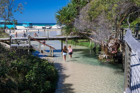 All-Inclusive Fraser Island Day Tour - Accommodation Great Ocean Road 4