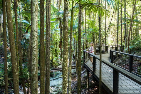 All-Inclusive Fraser Island Day Tour - Accommodation Great Ocean Road 5