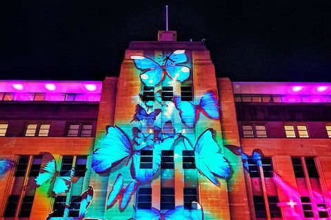 Vivid 90-Minute Sydney Harbour Small Group Catamaran Cruise - Accommodation Great Ocean Road 0