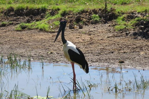 Darwin To Kakadu Day Trip By Air Including Yellow Water Cruise - Accommodation Great Ocean Road 0