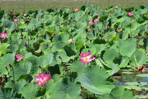 Darwin To Kakadu Day Trip By Air Including Yellow Water Cruise - Accommodation Great Ocean Road 2