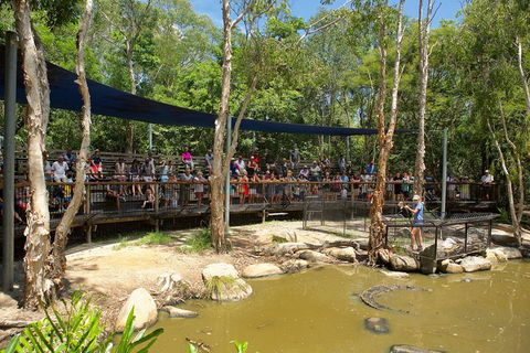 Hartley's Crocodile Adventures Breakfast With The Koalas - Accommodation Great Ocean Road 1