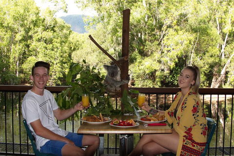 Hartley's Crocodile Adventures Breakfast With The Koalas - Accommodation Great Ocean Road 5