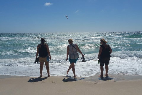 Very Best Of Perth Tour - Wildlife Park & City Highlights Tour - Accommodation Great Ocean Road 5