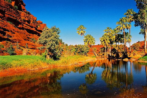 Palm Valley 4WD Day Tour - Accommodation Great Ocean Road 2