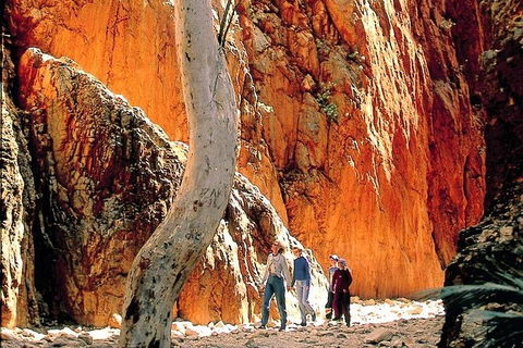 West MacDonnell Ranges Day Trip From Alice Springs - Accommodation Great Ocean Road 3