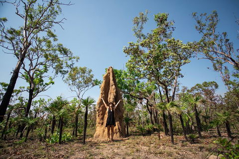 Litchfield National Park - Top End Day Tour From Darwin - Accommodation Great Ocean Road 5
