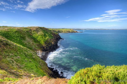 Phillip Island Penguin And Koala Highlights Day-Trip From Melbourne - Accommodation Great Ocean Road 5