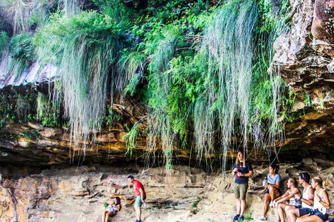 Sunset Blue Mountains Wilderness & Wildlife Tour Without The Crowds - Accommodation Great Ocean Road 1