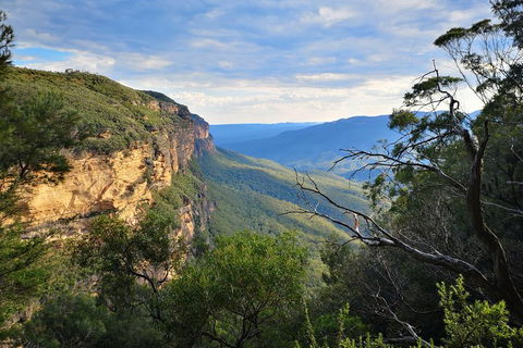 Sunset Blue Mountains Wilderness & Wildlife Tour Without The Crowds - Accommodation Great Ocean Road 2