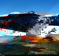 Express Jet Boat Ride  Aquaduck - Accommodation Great Ocean Road
