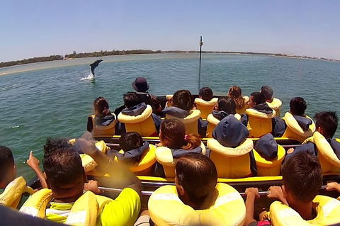 Express Jet Boat Ride + Aquaduck - Accommodation Great Ocean Road 4