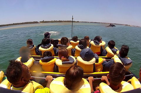 Jet Boat Express Ride - 30mins - Accommodation Great Ocean Road 5