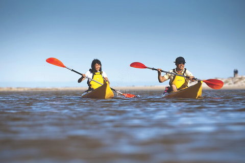 Kangaroo Island Self-Guided Kayaking On The Harriet River - Accommodation Great Ocean Road 2
