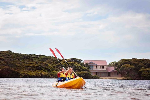 Kangaroo Island Self-Guided Kayaking On The Harriet River - Accommodation Great Ocean Road 5