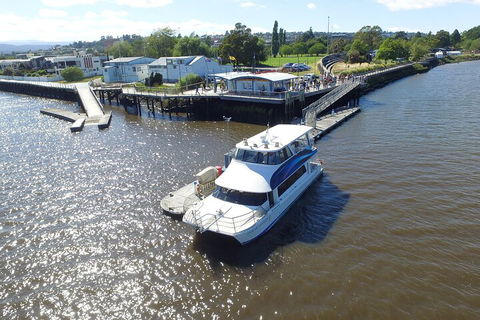 2.5 Hour Morning Discovery Cruise Including Sailing Into The Cataract Gorge - Accommodation Great Ocean Road 3