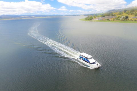 2.5 Hour Afternoon Discovery Cruise Including Cataract Gorge Departs At 1: 30 Pm - Accommodation Great Ocean Road 0