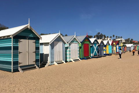 Phillip Island Penguin Parade, Brighton Bathing Boxes And Wildlife Park Tour - Accommodation Great Ocean Road 3