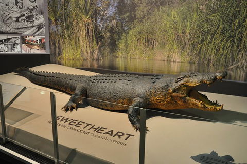 Explore Darwin City Sights Including Key Attractions - Accommodation Great Ocean Road 2
