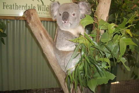 Blue Mountains Private Full-Day Tour From Sydney With Cruise - Accommodation Great Ocean Road 0