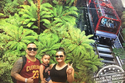 Blue Mountains Private Full-Day Tour From Sydney With Cruise - Accommodation Great Ocean Road 3