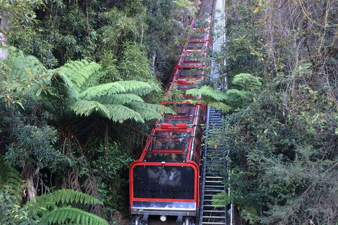 Blue Mountains Private Full-Day Tour From Sydney With Cruise - Accommodation Great Ocean Road 5
