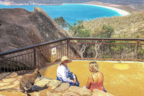 Wineglass Bay & Freycinet NP Full Day Tour From Hobart Via Richmond Village - Accommodation Great Ocean Road 1