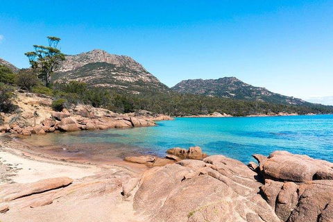 Wineglass Bay & Freycinet NP Full Day Tour From Hobart Via Richmond Village - Accommodation Great Ocean Road 5