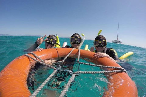 Full-Day Great Barrier Reef Sailing Trip - Accommodation Great Ocean Road 0