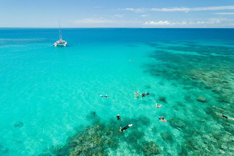 Full-Day Great Barrier Reef Sailing Trip - Accommodation Great Ocean Road 2