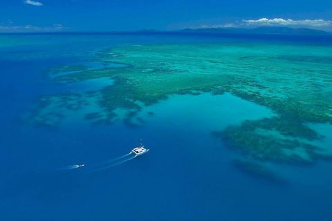 Full-Day Great Barrier Reef Sailing Trip - Accommodation Great Ocean Road 3
