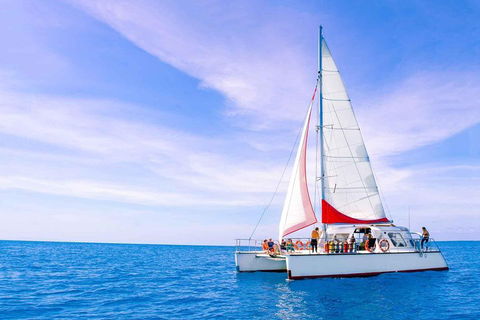 Full-Day Great Barrier Reef Sailing Trip - Accommodation Great Ocean Road 4
