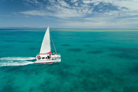 Full-Day Great Barrier Reef Sailing Trip - Accommodation Great Ocean Road 5