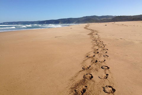 Private Great Ocean Road Full Day Tour - 1 Day Tour - Accommodation Great Ocean Road 5
