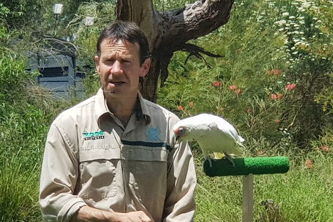 Healesville Sanctuary And Rayners Orchard Tour From Melbourne - Accommodation Great Ocean Road 0